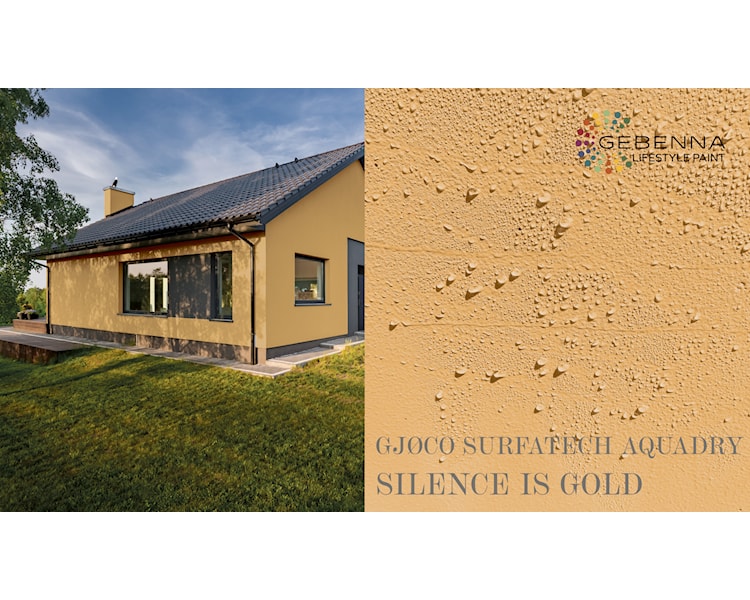 SURFATECH FARVEKORT SILENCE IS GOLD